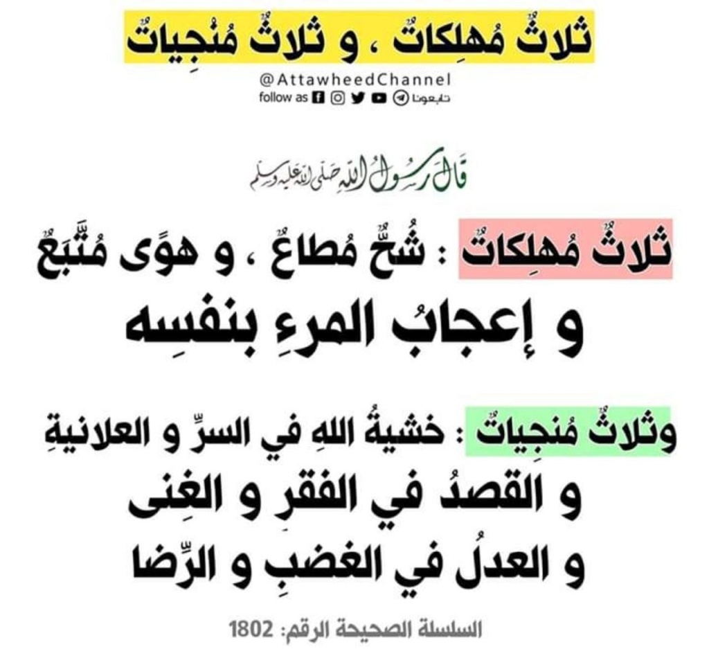 تعلم حديثا نبويا كل يوم  - صفحة 15 Img_2744