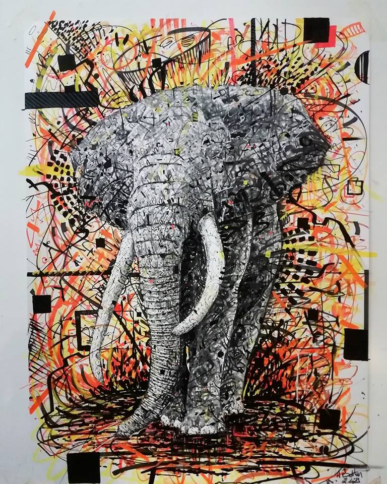 Elephant Elepha10