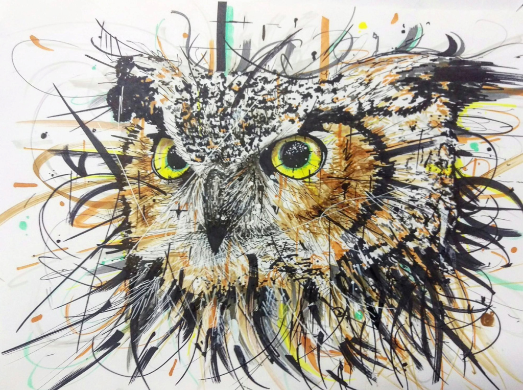 Illustrations promarkers Hibou111