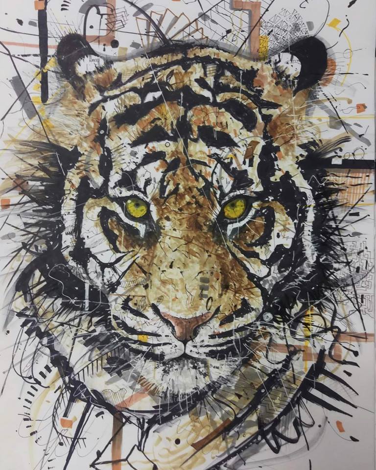 Illustrations Tigre11