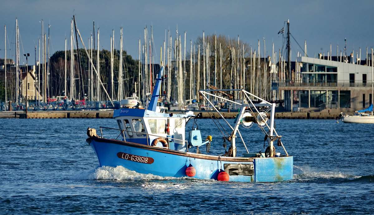 [VIE DES PORTS] Quelques bateaux de pêche (sur nos côtes Françaises) - Page 16 _co24135