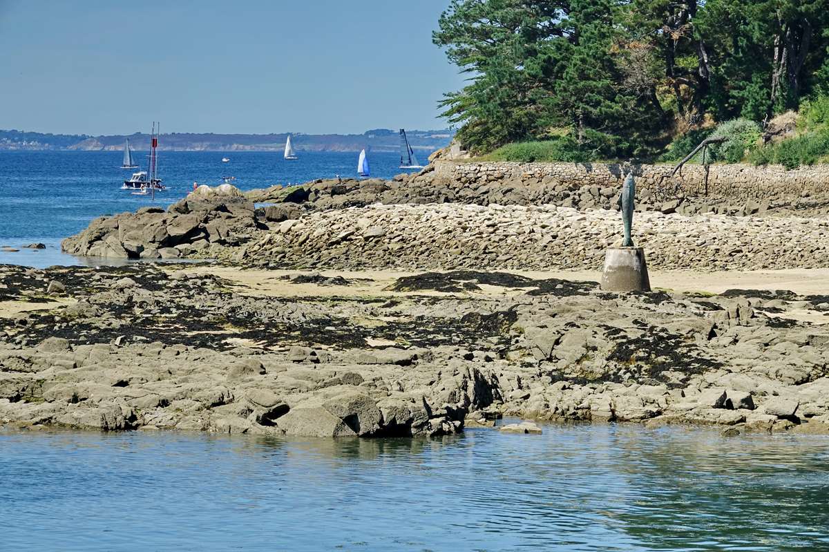 [Vie des ports] LE PORT DE DOUARNENEZ - Page 5 Dsc02795