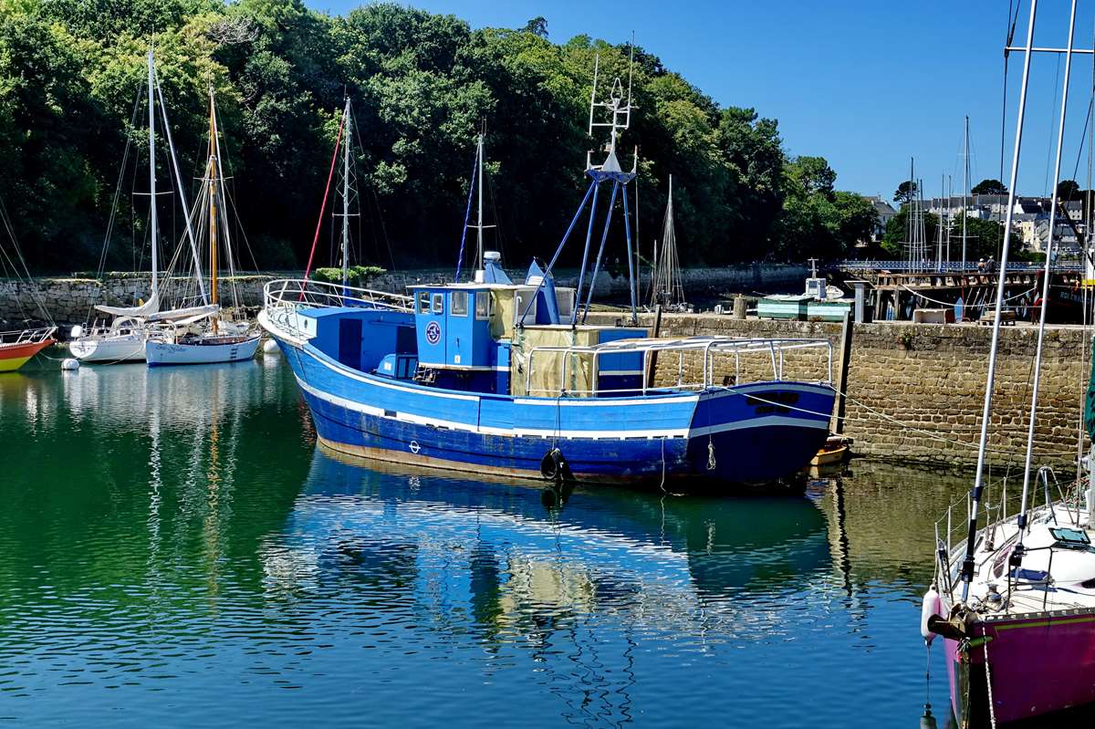 [Vie des ports] LE PORT DE DOUARNENEZ - Page 8 Dsc12208