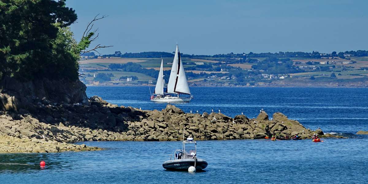 [Vie des ports] LE PORT DE DOUARNENEZ - Page 8 Dsc12335