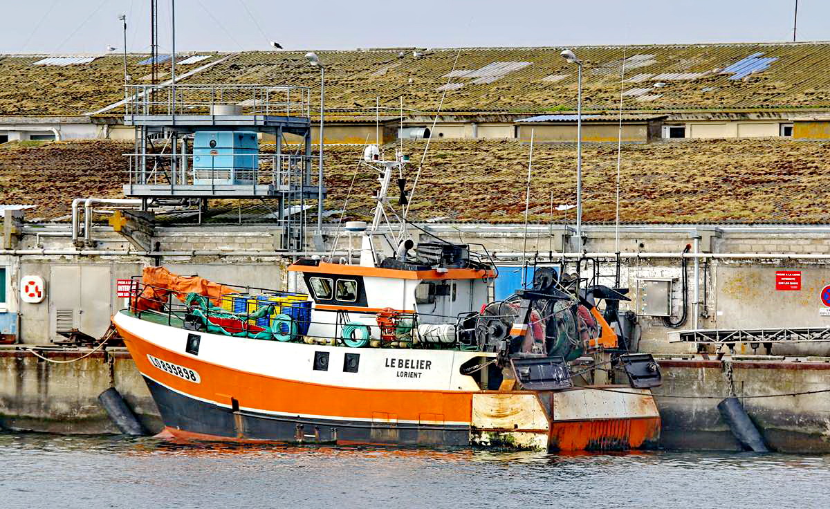 [Vie des ports] Quelques bateaux de pêche (sur nos côtes Françaises) - Page 9 Img_7522