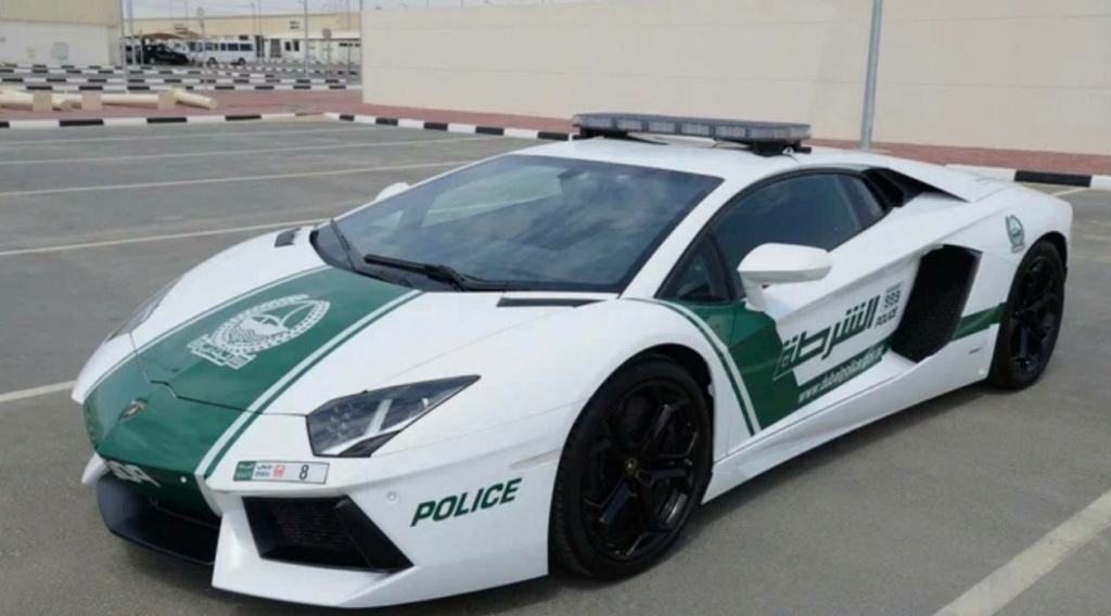 Полиция Дубая пополнила автопарк китайским автомобилем Phot1767