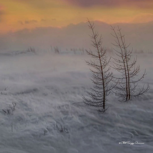 Сергей Анисимов фотографирует Арктику и Север Phot3422