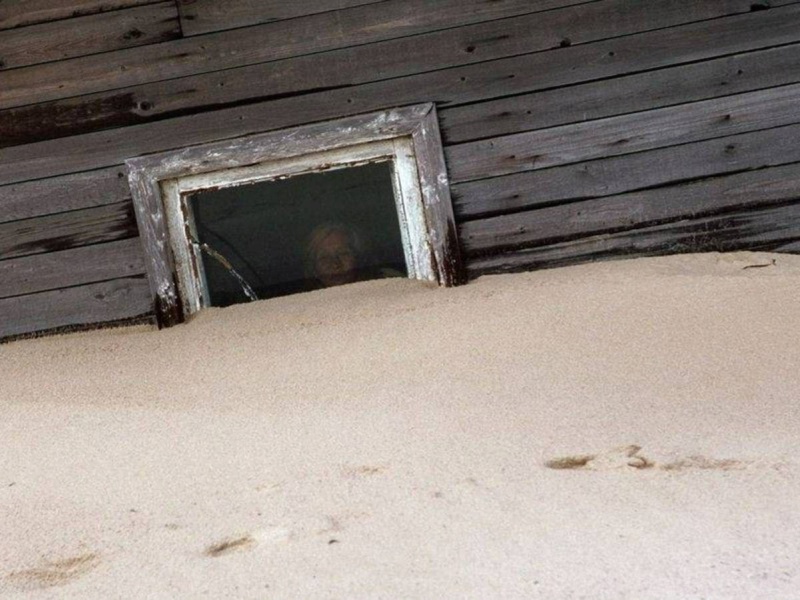 Фоторепортаж из деревни Шойна, погребённой в песках на побережье Белого моря. Phot5392