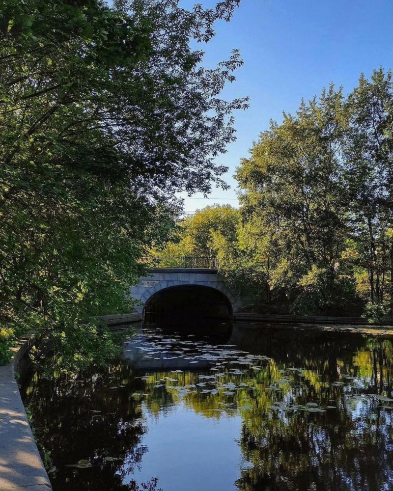 Наслаждаемся красотой природы в Молвинском саду.  Phot6665