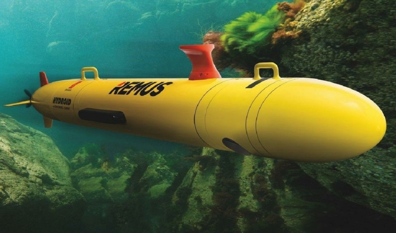 Йеменские хуситы захватили американский беспилотный подводный аппарат «Remus 600» Phot8435