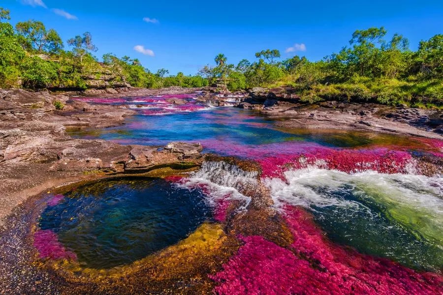Река пяти цветов в Колумбии Photo236