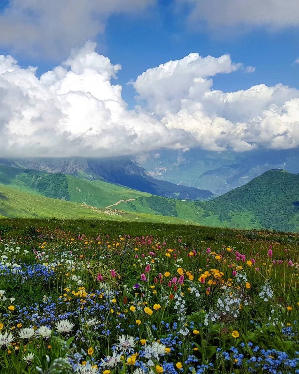 Альпийские Луга Словакии