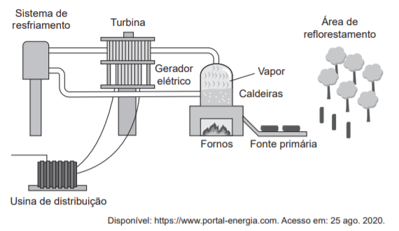 Combustão de matéria orgânica e calor sensível Captur11