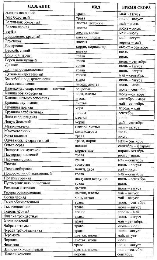 Изгнать старые болезни и оградить себя от новых  15876d11