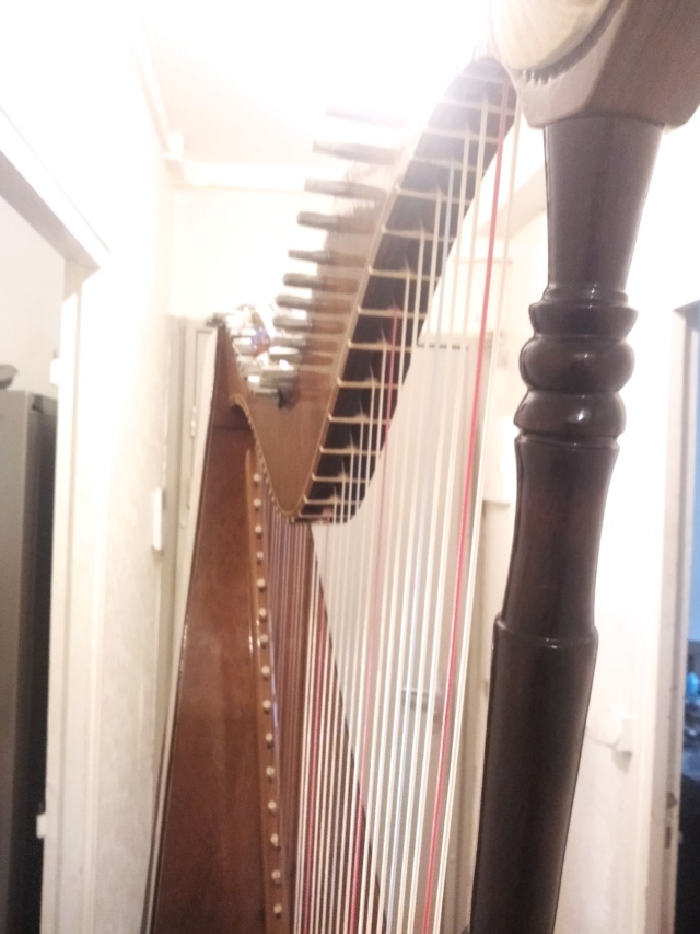 Présentation de ma harpe Img_2016