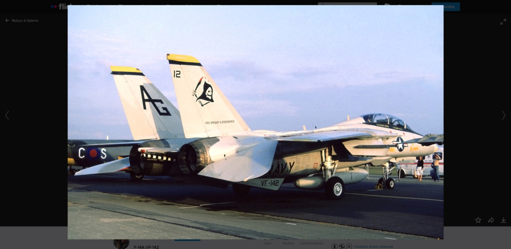 *1/72 Grumman F 14 Italeri Screen10