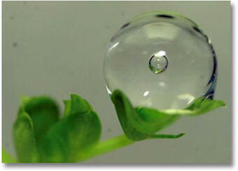 Toward a better theory of “gravity” - Bubbles Image12