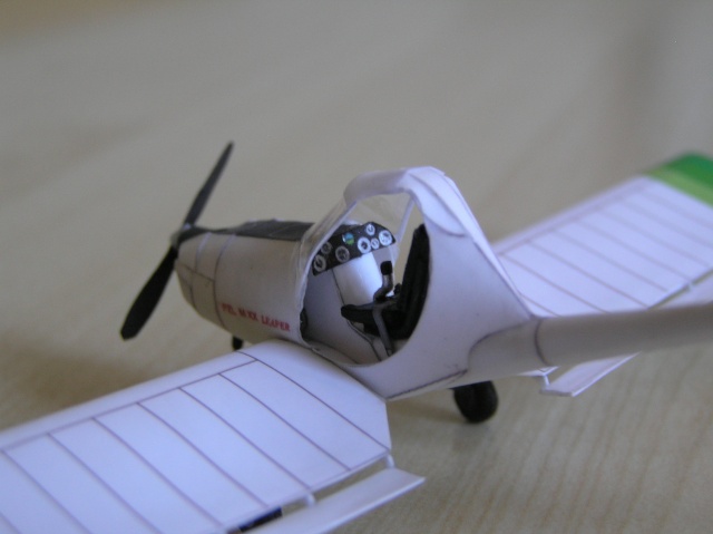 [Maquette papier] PZL MXX Leaper - Page 2 P1010025