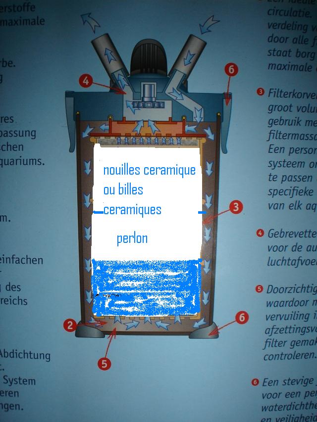 Vos conseils m'aideront Dsc08410