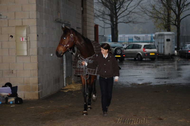 PETITE ETOILE NOBLE AA 1.70M 5 ANS VENDUE Dsc_6811