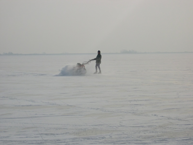 Comment s'occuper avec son motoculteur par très grand froid  Dscn6410