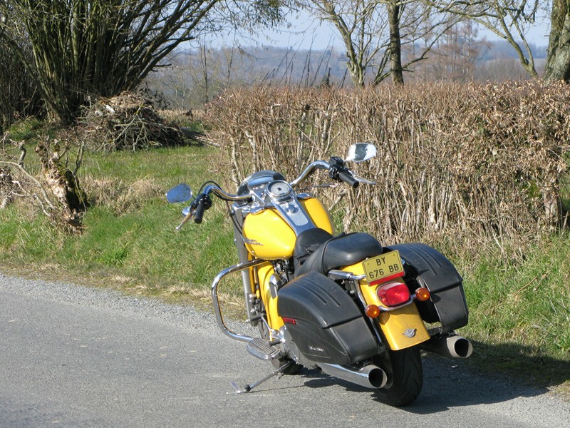 Un apres-midi en Périgord noir Daffod10