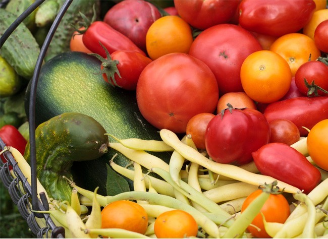 Secrets de culture pour vos 10 légumes préférés Recolt10