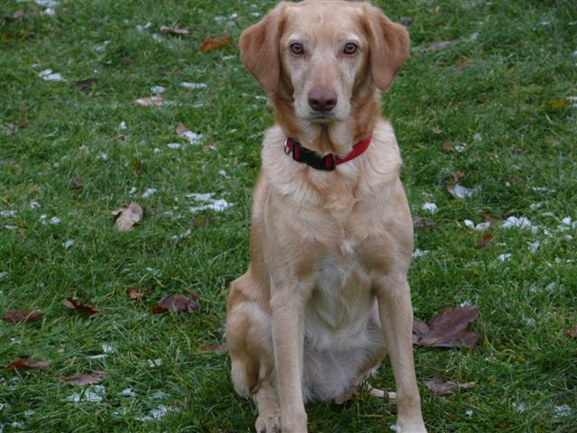 ulina 5 ans tina bientot 2 ans et cayenne 16 mois aujourdhui Cayen223