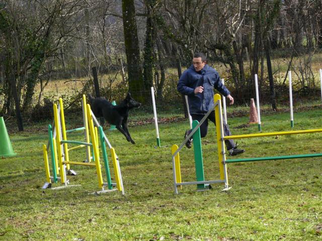 tina ulina cayenne en agility Cayenn50