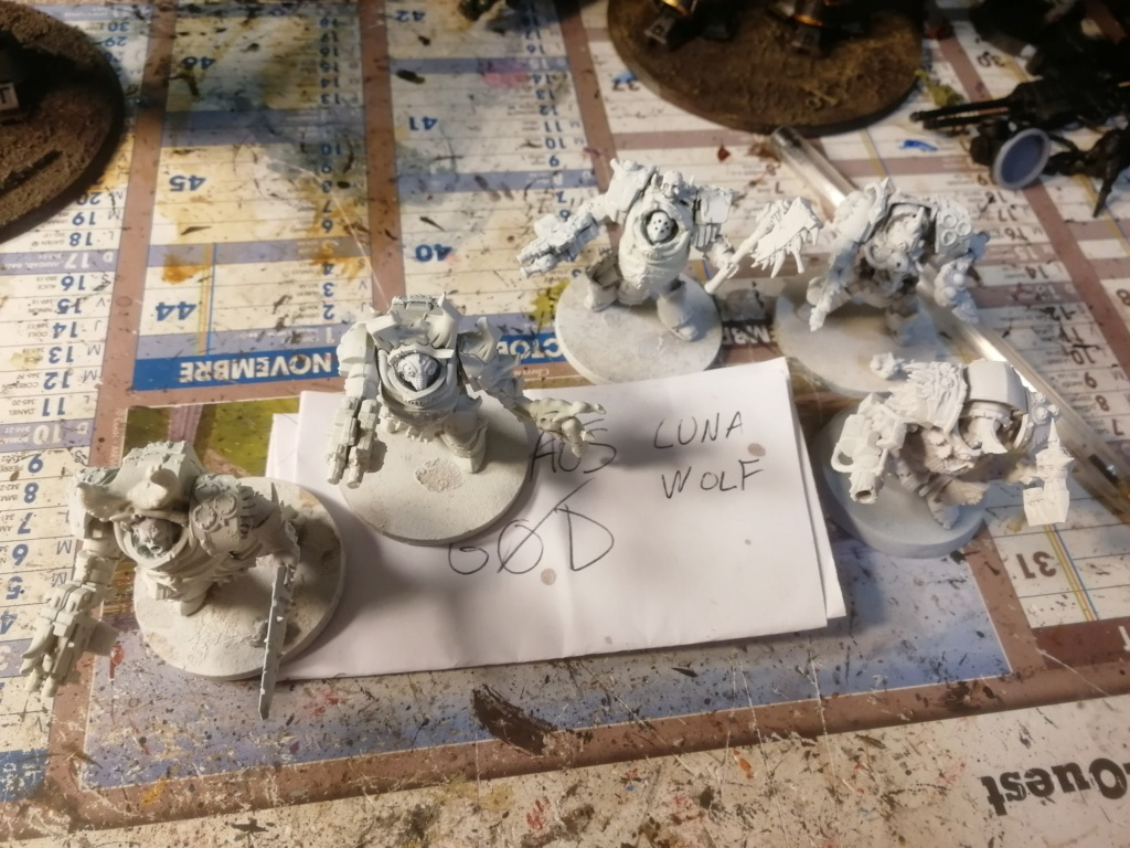 [Echec][Skaw/chaos] 5 Terminators Death Guard Img_2156