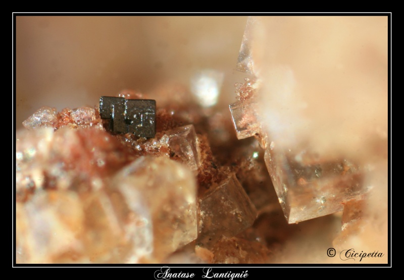 LES MINERAUX DE LANTIGNIE-RHONE-FRANCE Anatas10