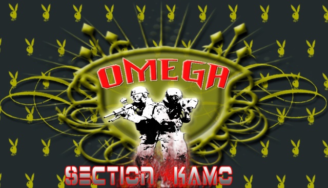 section Kamo OMEGA... Sectio10
