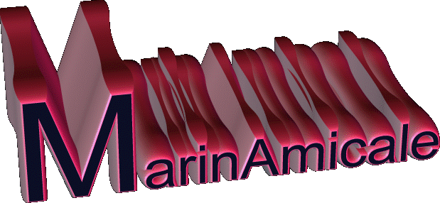 Marinamicale petit rappel pour le 8eme rassemblement 3dflow10