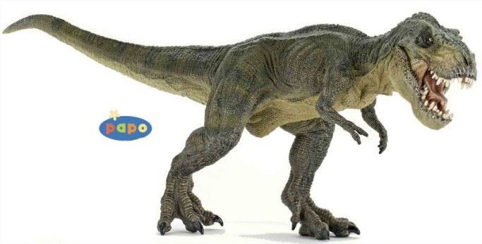 Papo (animaux, dinosaures...) Trex10