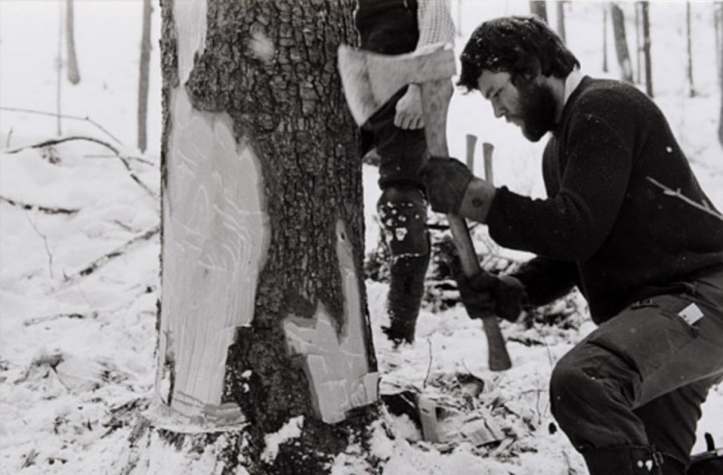 TRONCONNEUSES et travail en forêt....en photos d'époque 10010