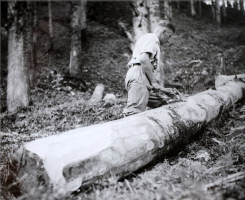 Tronçonneuses et travail au bois ....en photos d'époque 12910