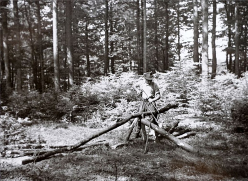 TRONCONNEUSES et travail en forêt....en photos d'époque 13210