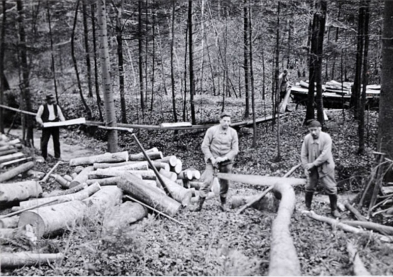 TRONCONNEUSES et travail en forêt....en photos d'époque 13910