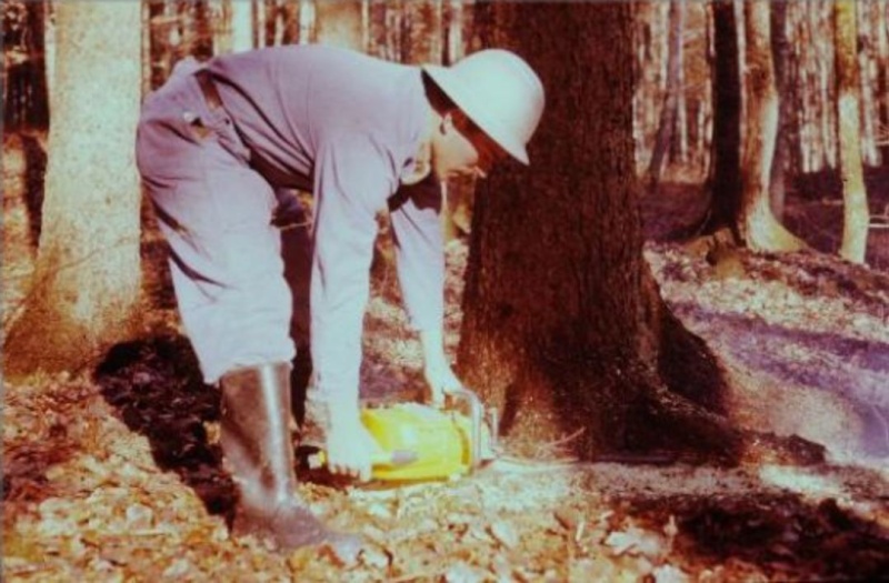 Tronçonneuses et travail au bois ....en photos d'époque 14710