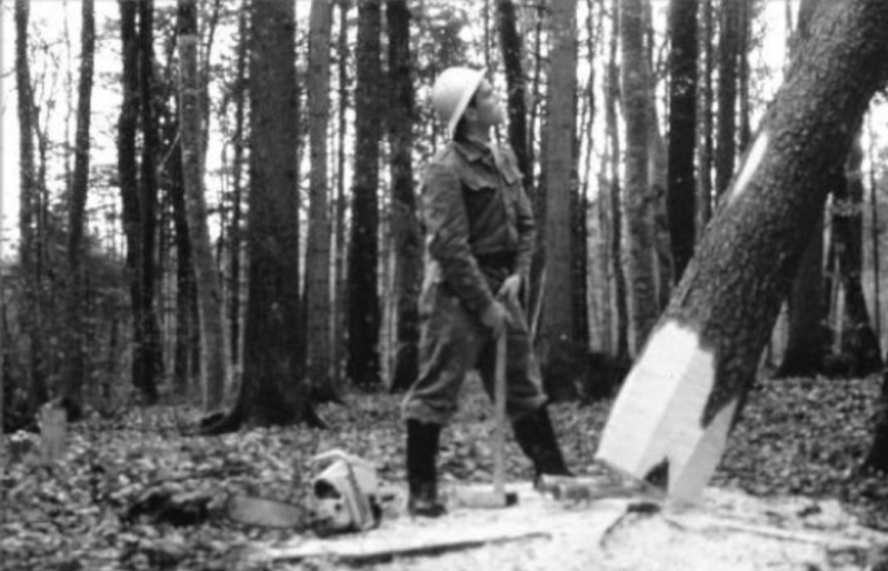 TRONCONNEUSES et travail en forêt....en photos d'époque 14910