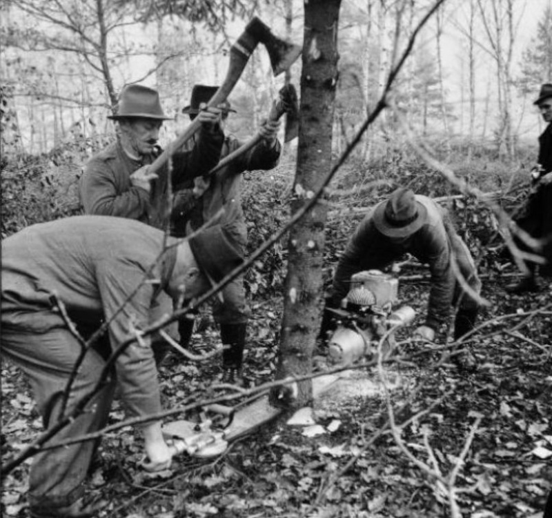 Tronçonneuses et travail au bois ....en photos d'époque 15110