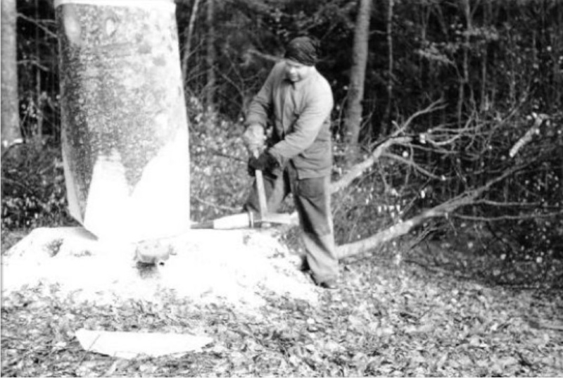 TRONCONNEUSES et travail en forêt....en photos d'époque 15310