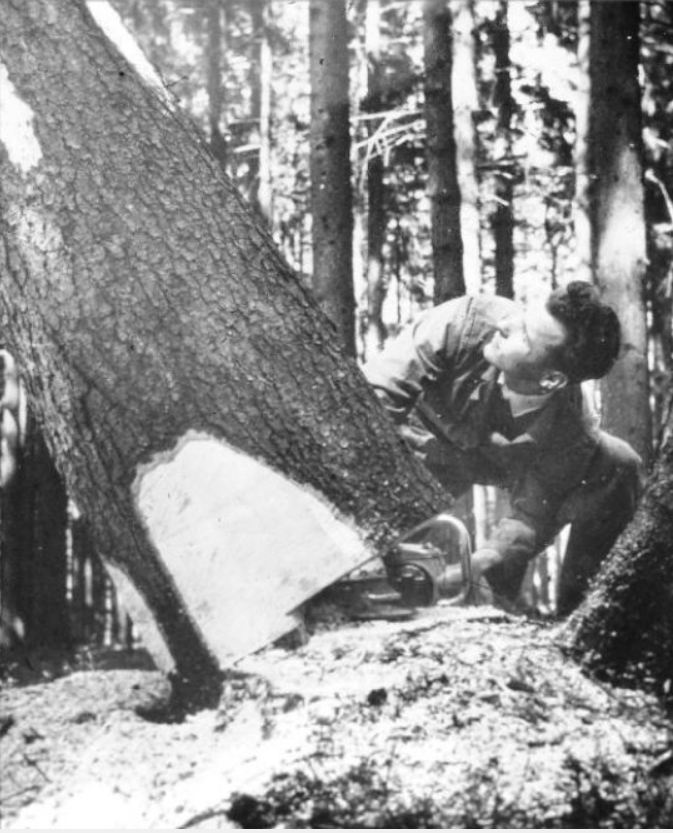 TRONCONNEUSES et travail en forêt....en photos d'époque 16410