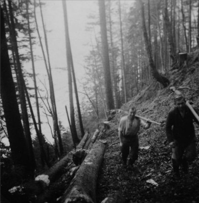 TRONCONNEUSES et travail en forêt....en photos d'époque 17610