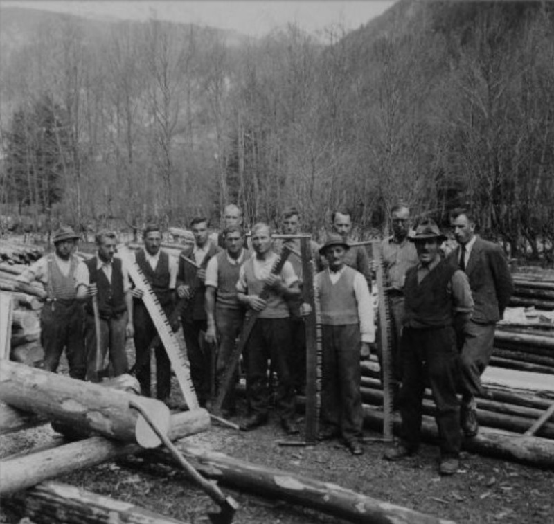 Tronçonneuses et travail au bois ....en photos d'époque 19210