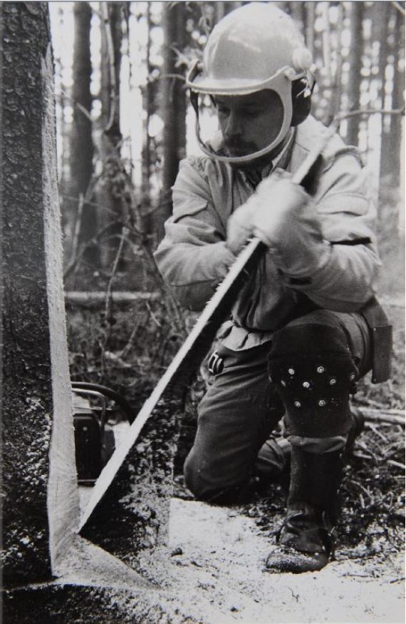 Tronçonneuses et travail au bois ....en photos d'époque 21810