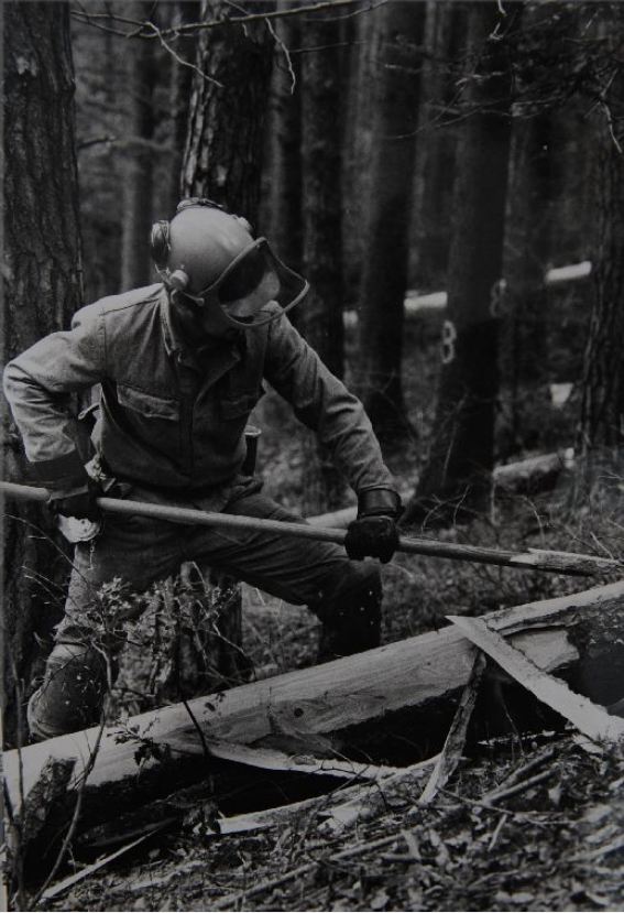 Tronçonneuses et travail au bois ....en photos d'époque 22210
