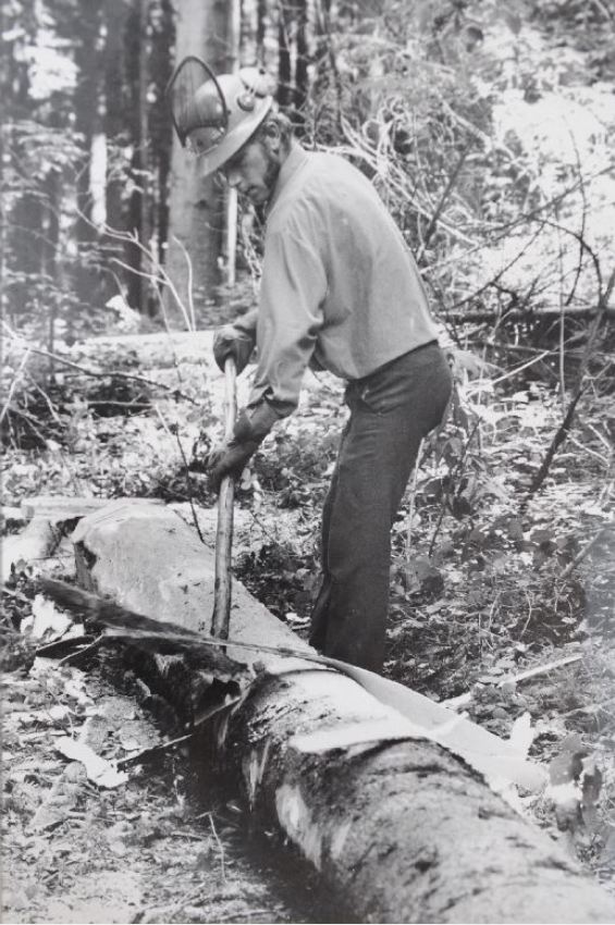 TRONCONNEUSES et travail en forêt....en photos d'époque - Page 2 22310