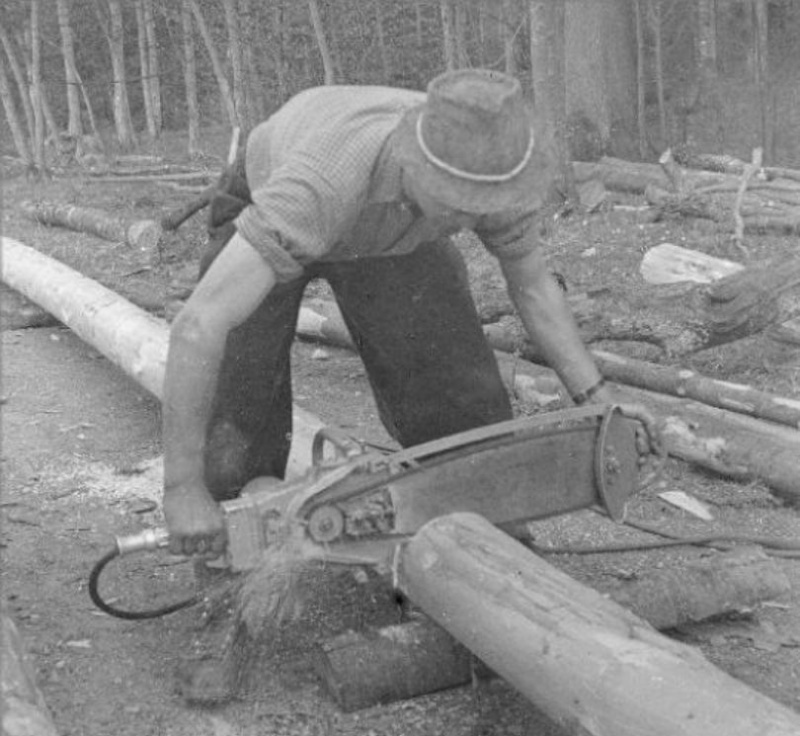 Tronçonneuses et travail au bois ....en photos d'époque 24010
