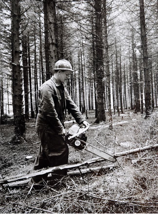 Tronçonneuses et travail au bois ....en photos d'époque 2410